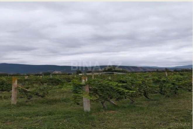 Продаётся  участок 710 сот, photo 5 from 8