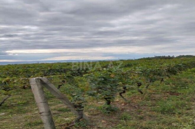 Продаётся  участок 710 сот, photo 7 from 8