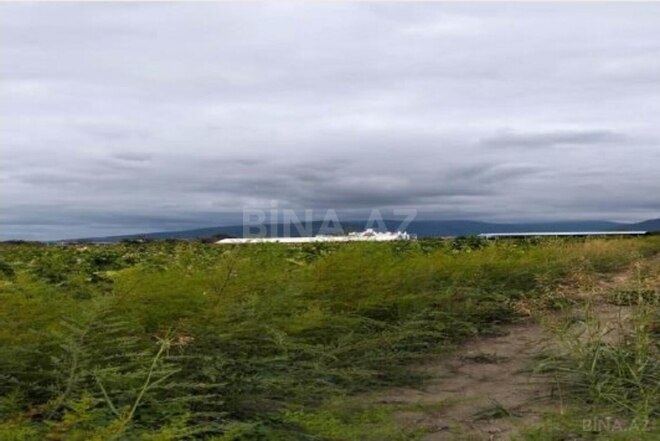 Продаётся  участок 2 980 сот, photo 7 from 8