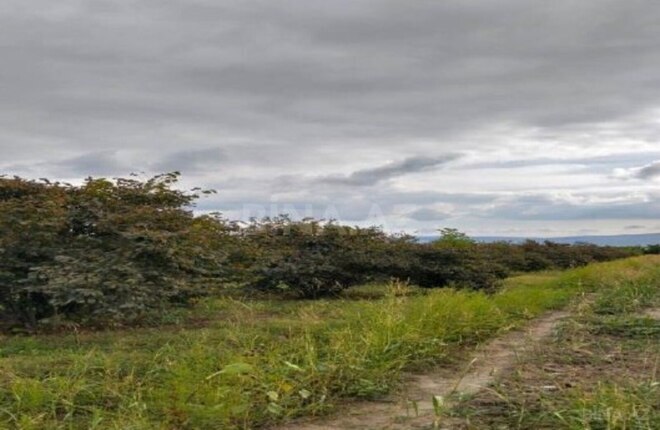 Продаётся  участок 2 980 сот, photo 5 from 8