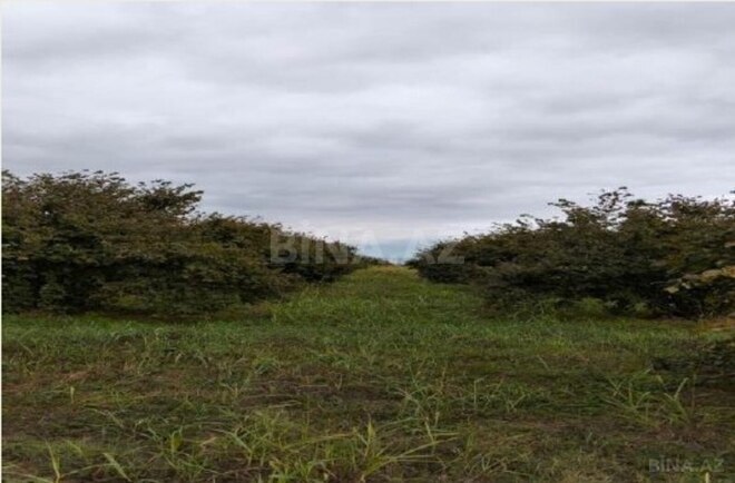 Продаётся  участок 2 980 сот, photo 3 from 8