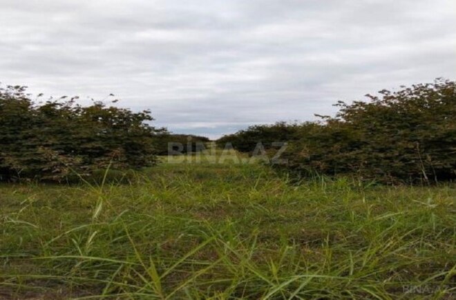 Продаётся  участок 2 980 сот, photo 4 from 8