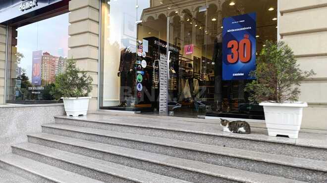 Satılır  obyekt 211.5 m², Elmlər Akademiyası m., photo 12 from 16