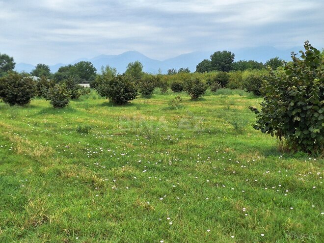 Продаётся  участок 100 сот, photo 24 from 27