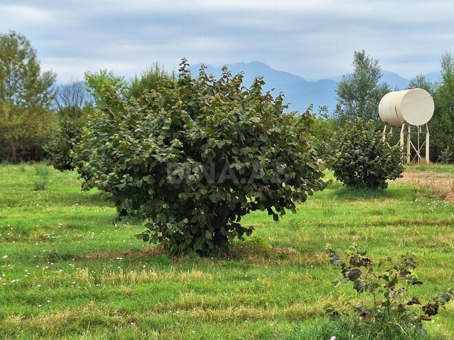 Продаётся  участок 100 сот, photo 23 from 27