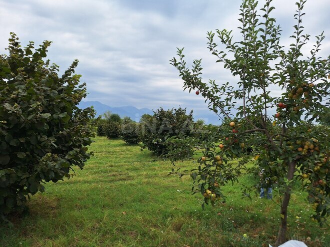 Продаётся  участок 100 сот, photo 22 from 27