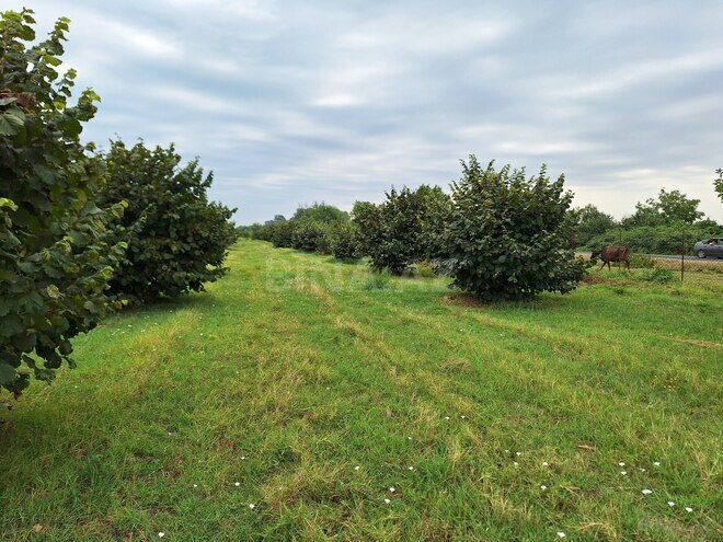 Продаётся  участок 100 сот, photo 20 from 27