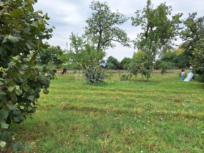 Продаётся  участок 100 сот, photo 21 from 27