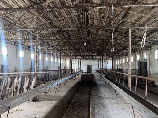 Продаётся  объект 3 000 м², пос. Перекишкюль, photo 6 from 16