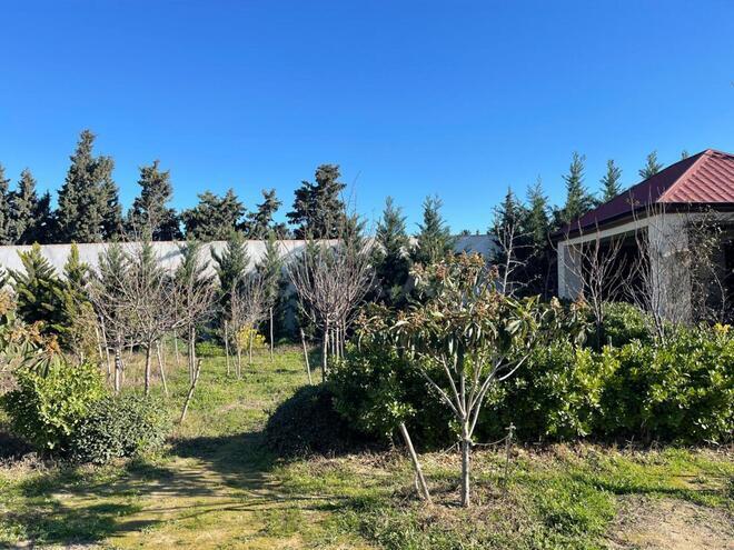 Продаётся  участок 7 сот, пос. Шувеляны, photo 4 from 27