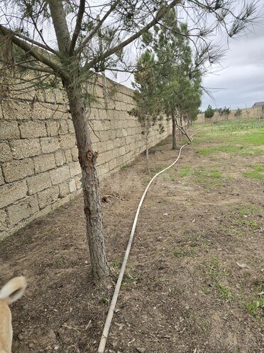 Продаётся 6-комн. дом/дача 220 м², пос. Зире, photo 20 from 25