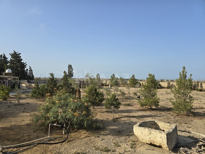 Продаётся 6-комн. дом/дача 220 м², пос. Зире, photo 8 from 25