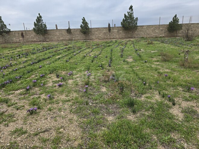 Продаётся 6-комн. дом/дача 220 м², пос. Зире, photo 22 from 25