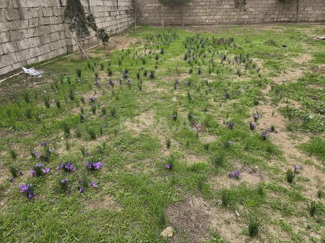 Продаётся 6-комн. дом/дача 220 м², пос. Зире, photo 19 from 25