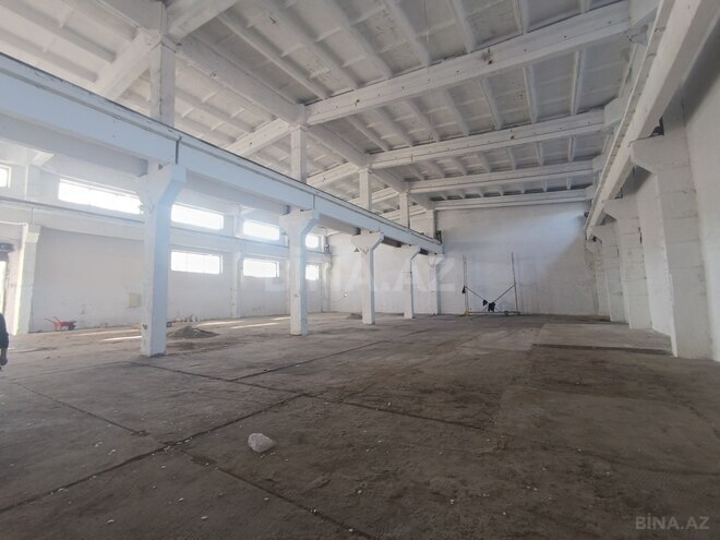 Сдаётся  объект 720 м², пос. Кешля, photo 6 from 17