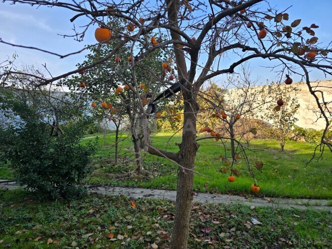 Продаётся 6-комн. дом/дача 500 м², м. Кара Караев, photo 3 from 20