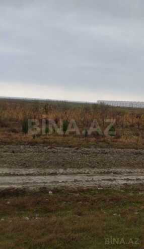Продаётся  участок 100 сот, photo 3 from 6