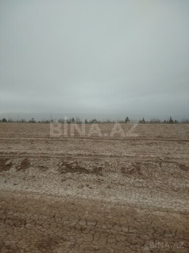 Продаётся  участок 100 сот, photo 5 from 6