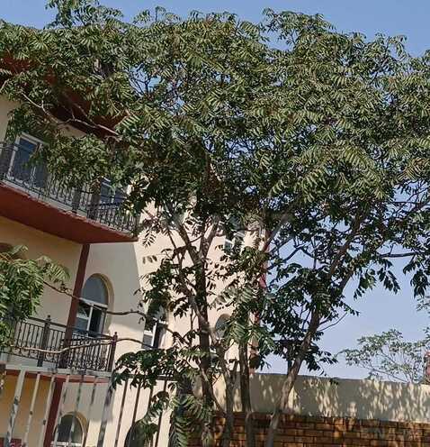 Продаётся  объект 5 000 м², Хатаинский р., photo 8 from 10