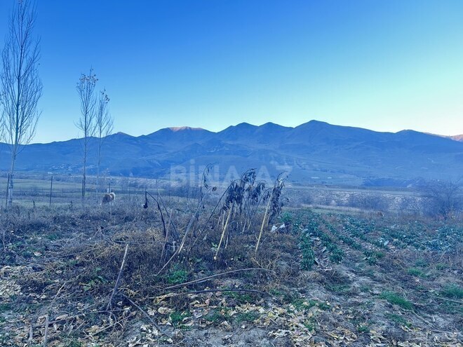 Продаётся  участок 35 сот, photo 9 from 10