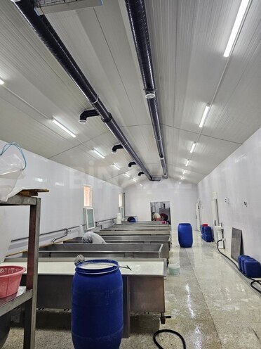 Продаётся  объект 700 м², Абшеронcкий  р., photo 13 from 26