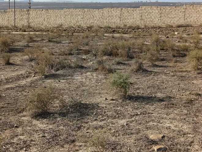 Satılır  torpaq 12 sot, Masazır q., photo 1 from 13