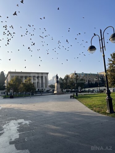 Сдаётся  объект 19 м², м. Низами, photo 18 from 32