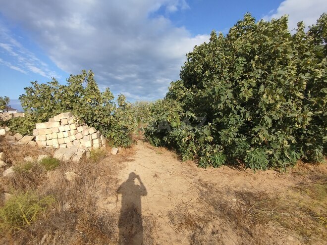 Satılır  torpaq 40 sot, Sea Breeze q., photo 7 from 10