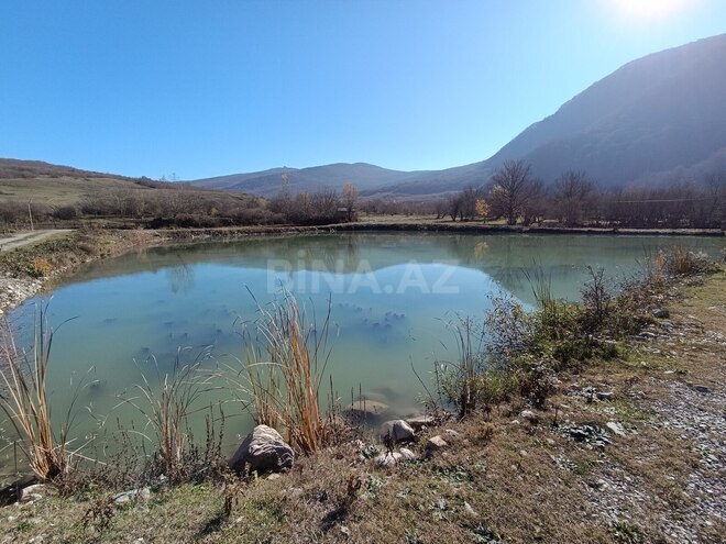 Satılır  obyekt 50 000 m², photo 26 from 31