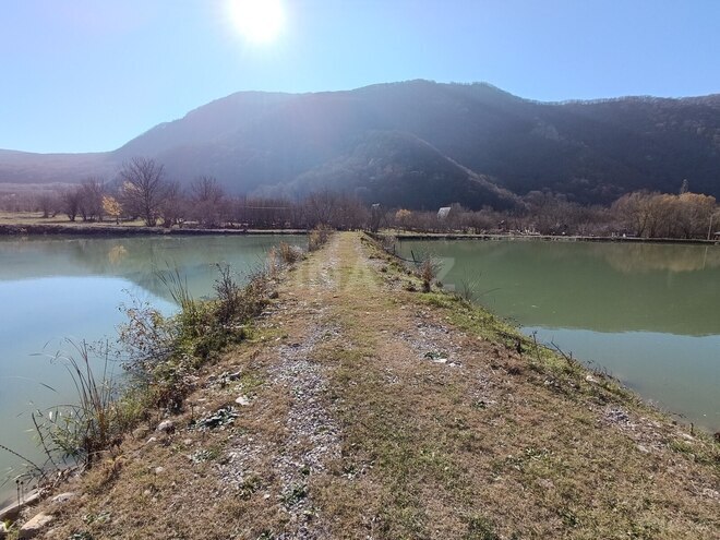 Satılır  obyekt 50 000 m², photo 24 from 31