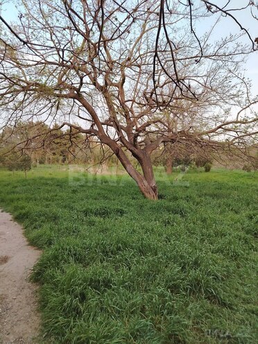 Satılır  torpaq 1.7 sot, Nəsimi m., photo 3 from 6