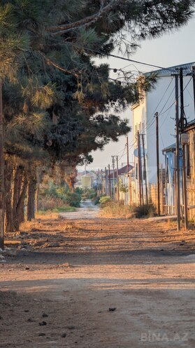 Продаётся  участок 6 сот, пос. Пиршаги, photo 7 from 8