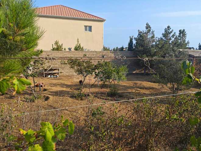 Satılır  torpaq 11 sot, Zirə q., photo 7 from 20