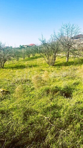 Продаётся  участок 23 сот, пос. Масазыр, photo 4 from 10