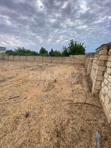 Satılır  torpaq 6 sot, Novxanı q., photo 9 from 12