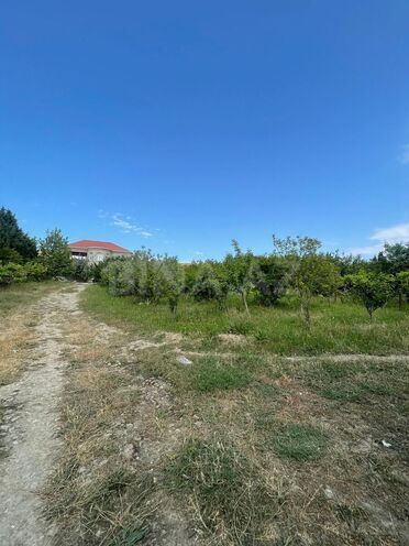 Продаётся  участок 12 сот, пос. Новханы, photo 3 from 11