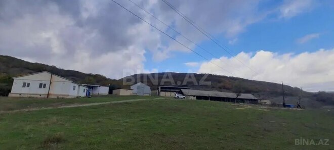 Satılır  torpaq 3 000 sot, photo 26 from 32