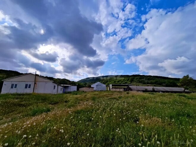 Satılır  torpaq 3 000 sot, photo 29 from 32