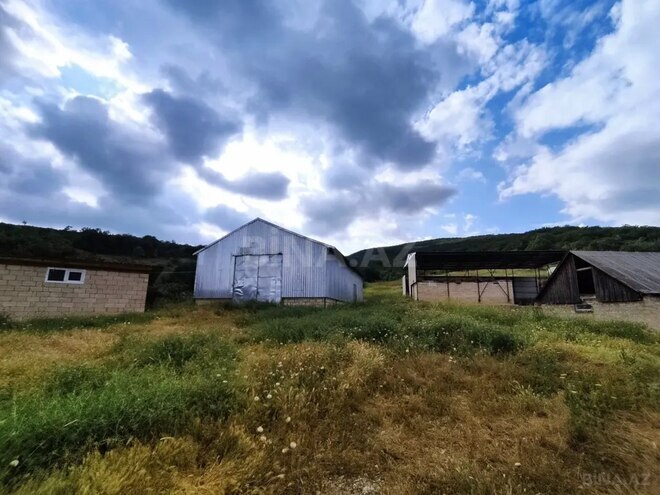 Satılır  torpaq 3 000 sot, photo 28 from 32