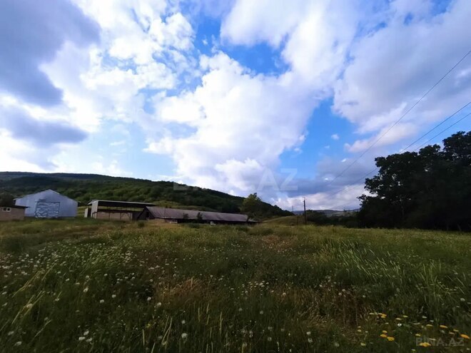 Satılır  torpaq 3 000 sot, photo 17 from 32