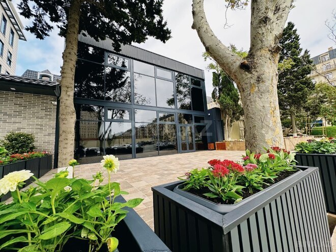 Сдаётся  объект 260 м², м. Шах Исмаил Хатаи, photo 9 from 13