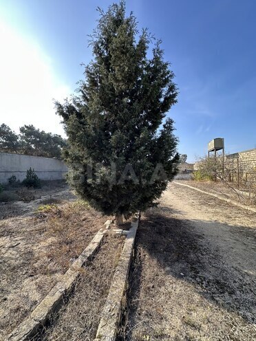 Satılır  torpaq 12 sot, Mərdəkan q., photo 1 from 4