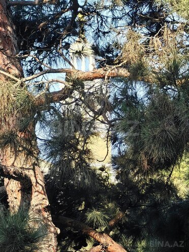 Satılır 2 otaqlı köhnə tikili 54 m², İçəri Şəhər m., photo 12 from 30