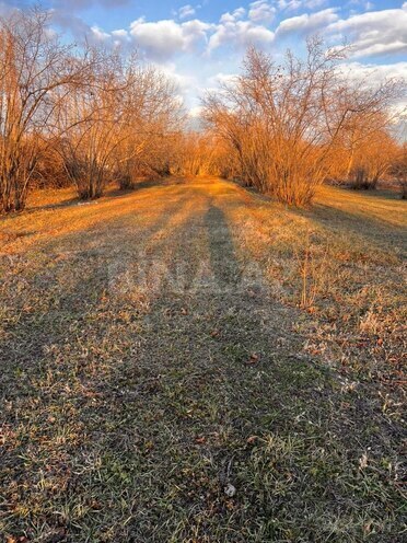 Satılır  torpaq 30 sot, photo 4 from 7