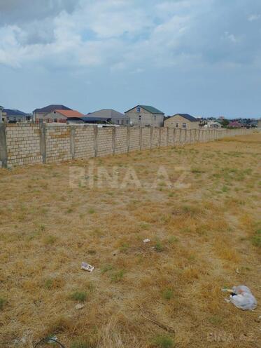 Продаётся  участок 60 сот, пос. Сарай, photo 3 from 6