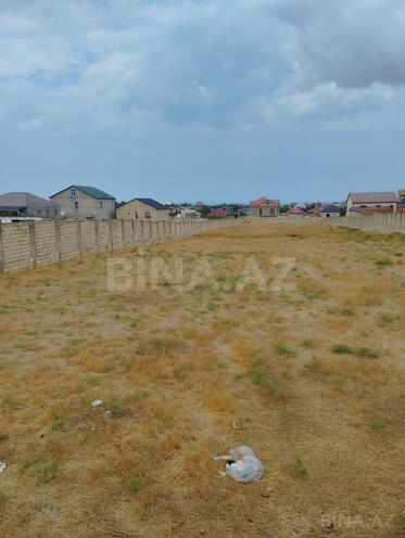 Продаётся  участок 60 сот, пос. Сарай, photo 4 from 6