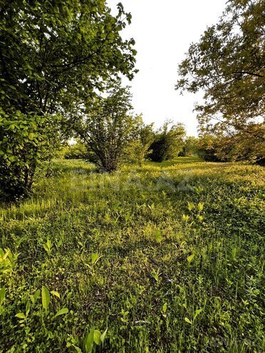 Satılır  torpaq 30 sot, photo 5 from 7