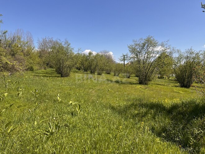 Satılır  torpaq 30 sot, photo 6 from 7