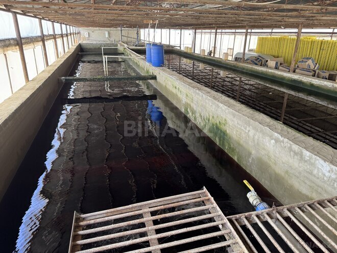 Satılır  obyekt 35 000 m², photo 12 from 17