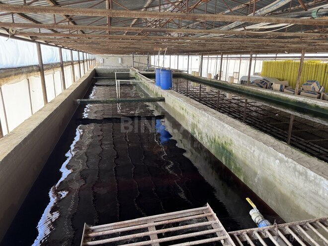 Satılır  obyekt 35 000 m², photo 14 from 17